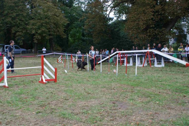 foire-haricots 2011-09-17et18